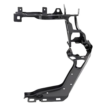 556　リドレイ ビカクシダ リドレイ ワイドフォーム Platycerium ridleyi wide